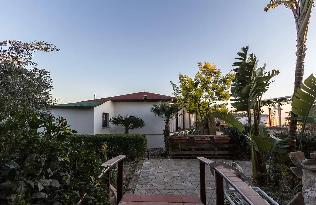 B&B Eyexei Domus-1